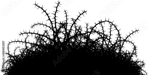 Dense thorny thicket or bramble bush silhouette vector