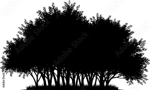 Dense thicket of bushes and small trees silhouette vector