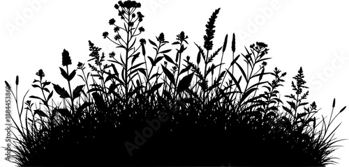 Dense wildflower and grass meadow silhouette vector