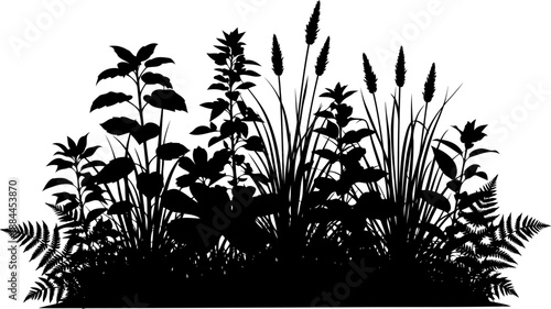 Diverse garden border with ferns grasses and various plants silhouette vector