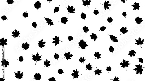 Diverse autumn leaf silhouettes scattered in random pattern vector