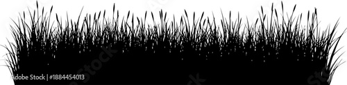Elongated row of wild meadow grass silhouette vector graphic
