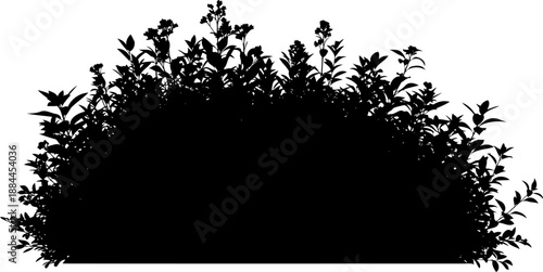 Flowering garden shrub silhouette with dense foliage vector