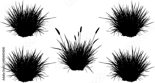 Five separate tufts of wild grass or garden plants silhouette vector