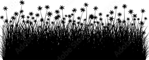 Field of small star shaped flowers and meadow grass silhouette vector