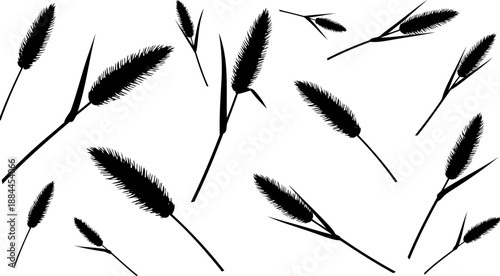 Foxtail grass heads and stems in a scattered arrangement silhouette vector