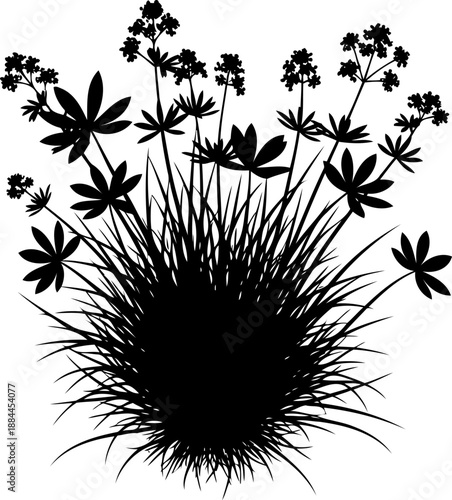 Flowering plant cluster with thin leaves and blossoms silhouette vector