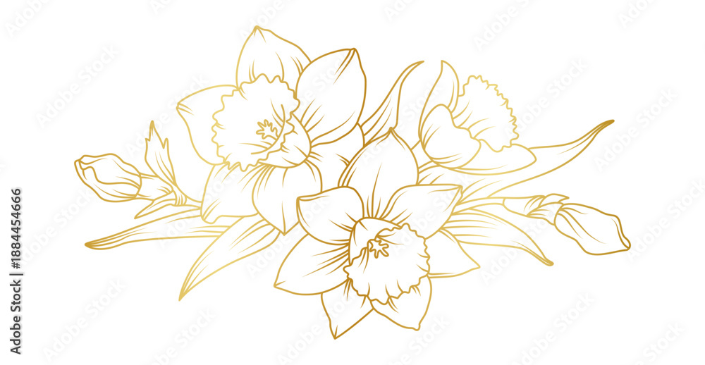 Obraz premium Narcissus lily flowers line art isolated on white background. Luxury daffodil floral golden design elements for invitation, wedding, wallpaper, print template, vector illustration