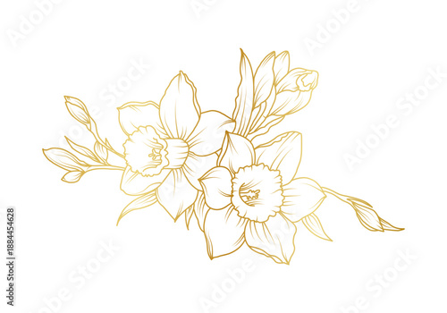 Narcissus lily flowers line art isolated on white background. Luxury daffodil floral golden design elements for invitation, wedding, wallpaper, print template, vector illustration