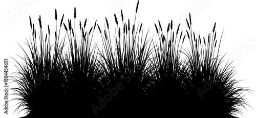 Multiple tufts of wild field grass silhouette vector