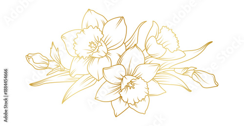 Narcissus lily flowers line art isolated on white background. Luxury daffodil floral golden design elements for invitation, wedding, wallpaper, print template, vector illustration