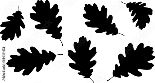 Oak leaf silhouettes in various sizes vector set