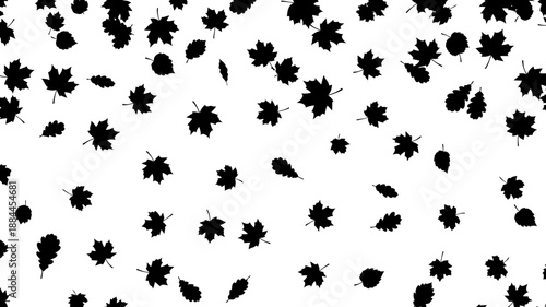 Pattern of various falling autumn leaves including maple and oak silhouette vector