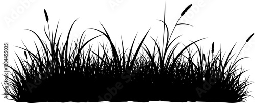 Tall slender wild grass blades silhouette vector illustration