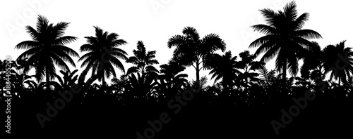 Tropical rainforest silhouette with various palm species vector