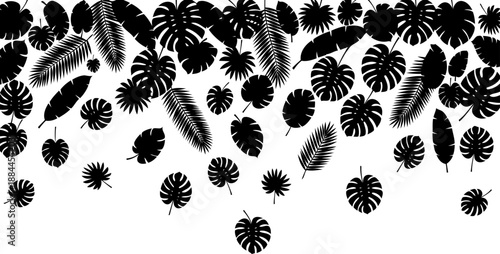 Tropical leaf silhouette border and pattern vector