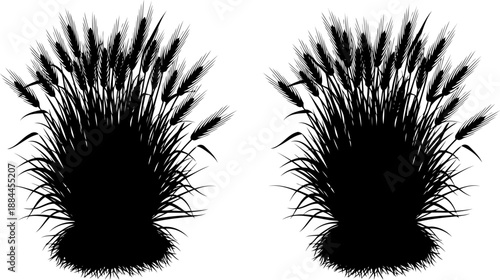 Two dense clumps of wheat or barley cereal crop silhouette vector