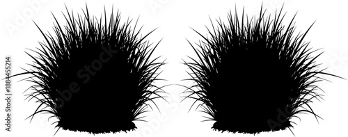 Two tufts of wild grass silhouettes vector set
