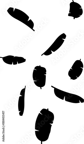 Banana tree leaves and tropical foliage scattered silhouette vector