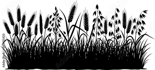 Agricultural cereal crops including wheat oats and barley silhouette vector