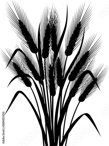 Bundle of grain stalks with heavy seed heads silhouette vector