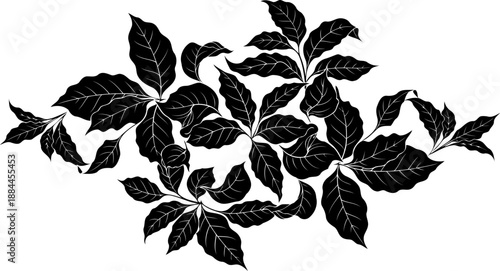 Branch with many leaves silhouette vector illustration