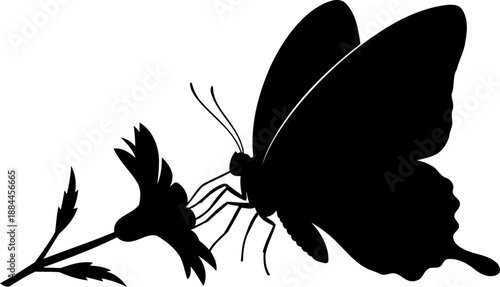 Butterfly on flower silhouette side view insect vector illustration