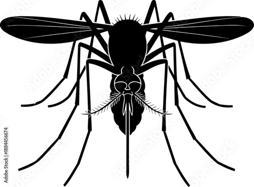 Blood-sucking mosquito silhouette top view insect vector graphic