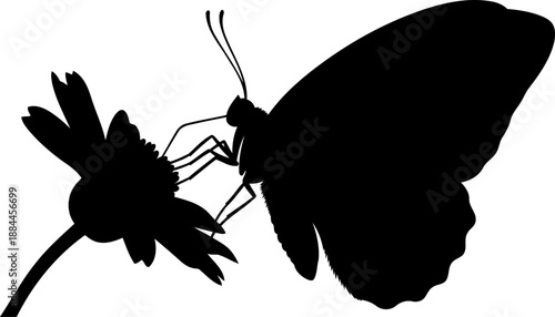 Butterfly on flower silhouette side view nature vector illustration
