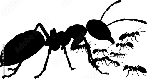 Colony of ants silhouette with large worker ant vector graphic