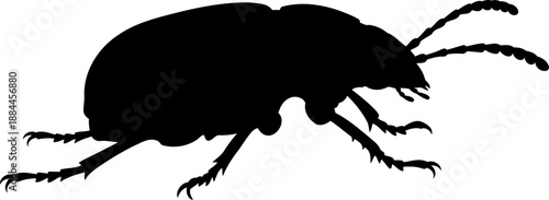 Crawling beetle silhouette side view insect vector illustration