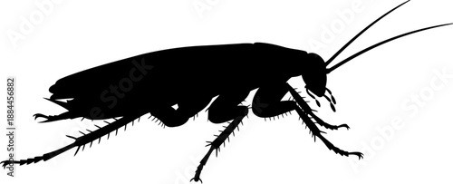 Crawling cockroach silhouette side view pest insect vector illustration