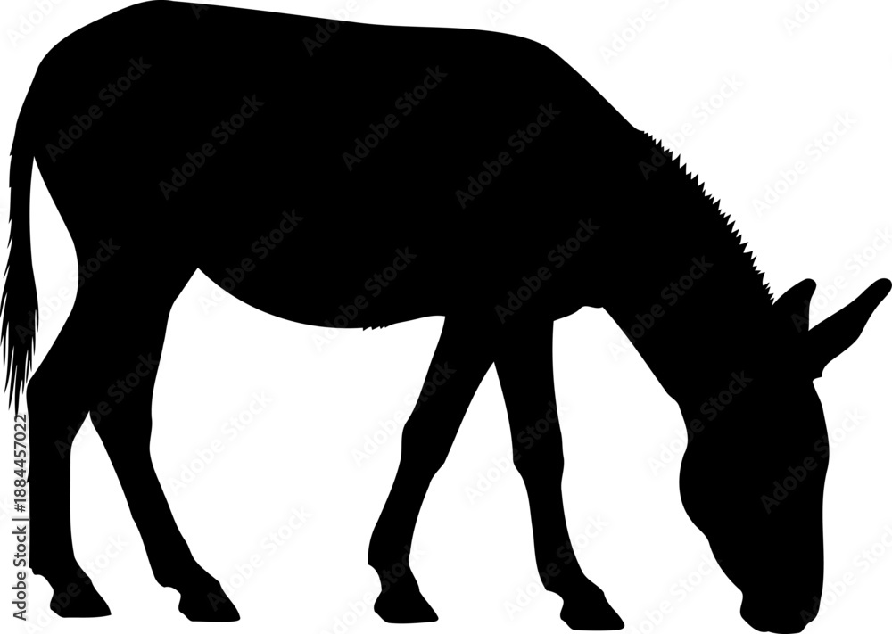 Obraz premium Donkey grazing silhouette side view farm animal vector graphic