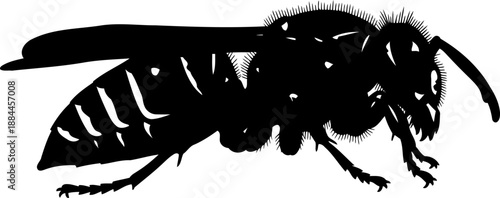 Detailed wasp silhouette side view stinging insect vector graphic