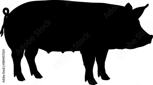 Domestic pig silhouette side profile livestock animal vector