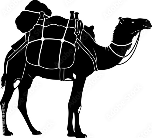 Dromedary camel silhouette side view with saddle and packs vector