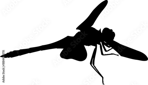 Dragonfly silhouette side view winged insect vector graphic