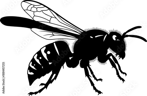 Flying wasp silhouette side view hornet vector graphic