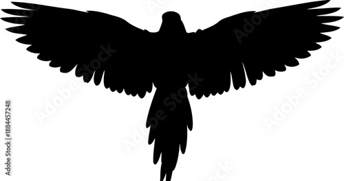 Flying parrot silhouette top view tropical bird vector illustration