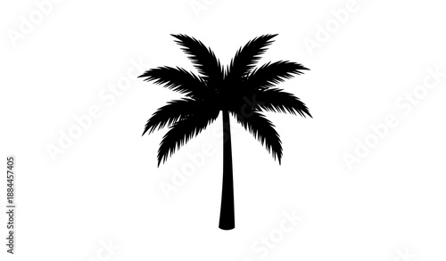 Minimal black palm tree silhouette vector icon