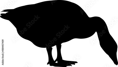 Grazing goose silhouette side view waterfowl bird vector graphic