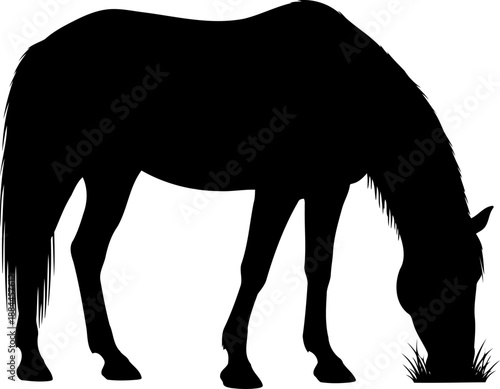 Grazing horse silhouette side view head down vector graphic