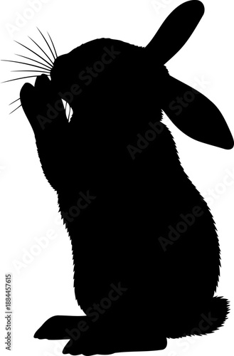 Grooming rabbit silhouette side view bunny vector graphic