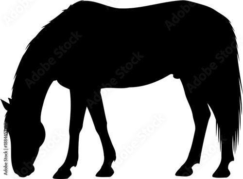Grazing horse silhouette side view equine vector graphic