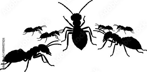 Group of crawling ants silhouette colony insect vector graphic