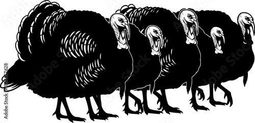 Group of turkeys silhouette side view poultry vector illustration