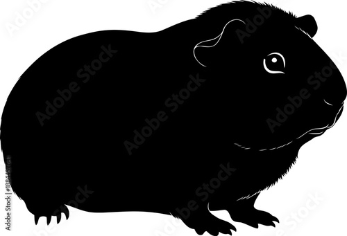 Guinea pig silhouette side view cavy rodent pet vector illustration