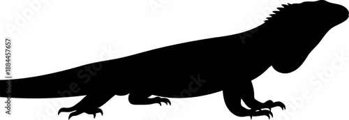 Iguana silhouette side view crawling lizard reptile vector graphic