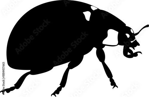 Ladybug beetle crawling side view black silhouette vector graphic