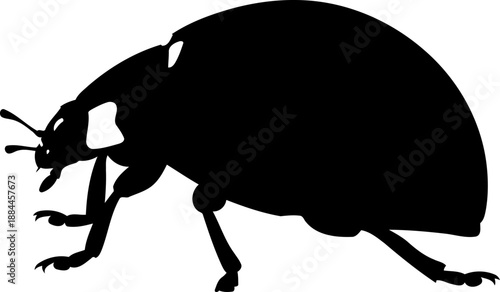 Ladybug crawling side view black silhouette insect vector graphic